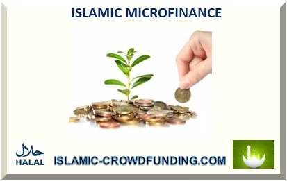 ISLAMIC MICROFINANCE WITHOUT RIBA 2026